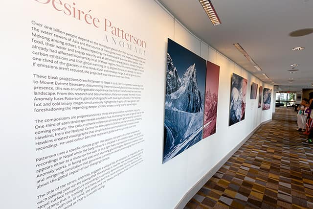An art opening in the Queen Elizabeth Theatre lobby